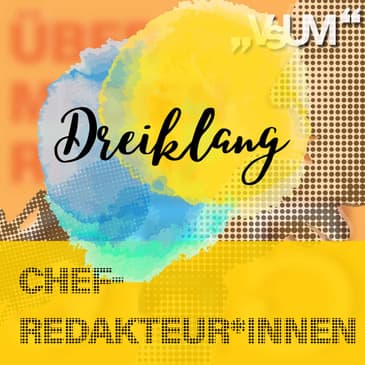 Re-Broadcast: # 405 Walter Hämmerle, Andreas Koller, Petra Stuiber: Dreiklang "Chefredakteur*innen" | 06.03.22