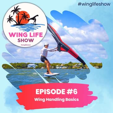 Wing Life Show Episode #6 - Wing Handling Basics