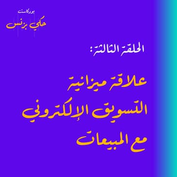 الحلقة الثالثة : علاقة ميزانية التسويق الإلكتروني مع المبيعات