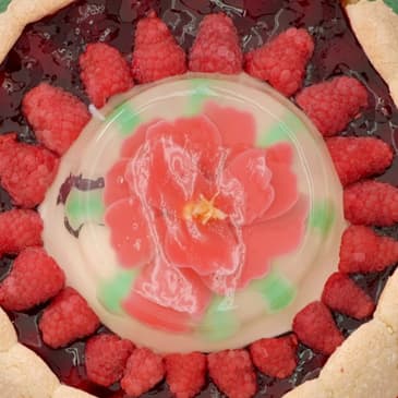 293 "Botanical Week" GBBO Collection 11 E6