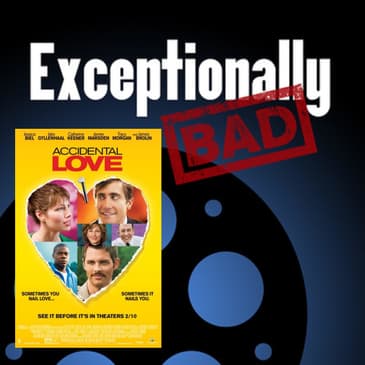 Accidental Love (2015)