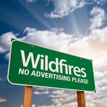 When the News Gets Too Hot for Advertising