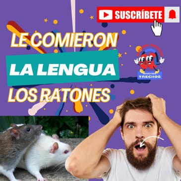 Cuando te quedas sin palabras...¡te comieron la lengua los ratones!