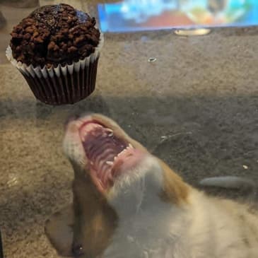 Episode 196: Genshin Impact - Well Dressed Light Yagami