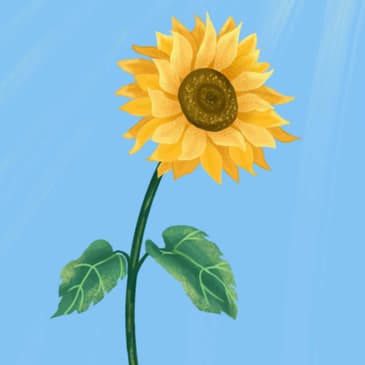 El hombre en busca de sentido Puntos destacados del libro completo