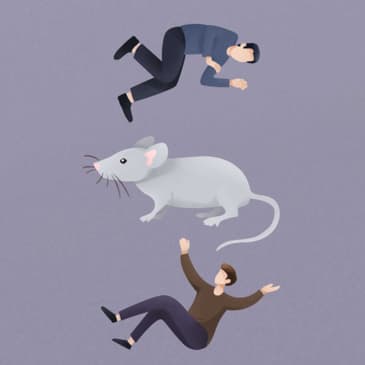 Resumen completo del libro del capítulo De ratones y hombres