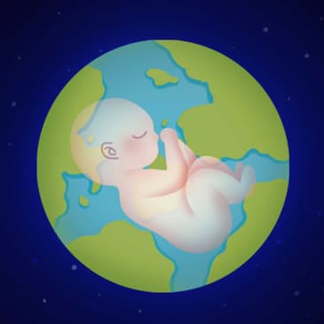 Notas completas del libro Una breve historia de casi todo