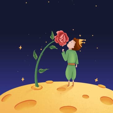 Las Mejores 30 Frases De El Principito