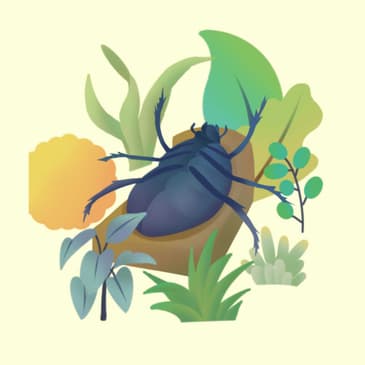 Las Mejores 30 Frases De La Metamorfosis