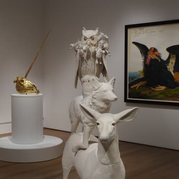 Janet MacPherson: A Canadian Ceramic Artist