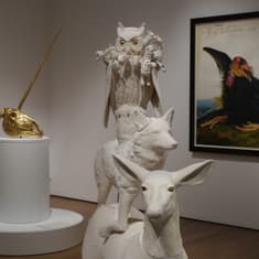 Janet MacPherson: A Canadian Ceramic Artist