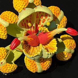 CJ Jilek: Ceramic colourist extraordinaire.