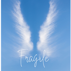 Fragile. - Y.B.L. Episode 46