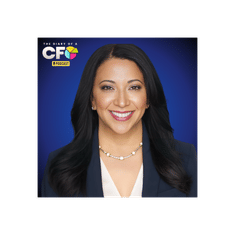 Real Fraud Stories and Legal Protection for Your Fractional CFO Firm with Attorney Natalia Greene