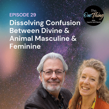 Episode 29: Dissolving Confusion Between Divine & Animal Masculine & Feminine