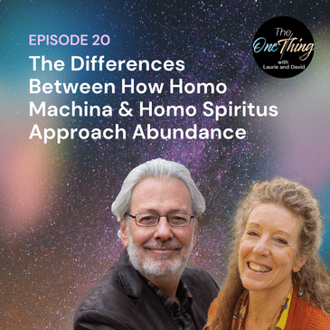 Episode 20: The Differences Between How Homo Machina & Homo Spiritus Approach Abundance