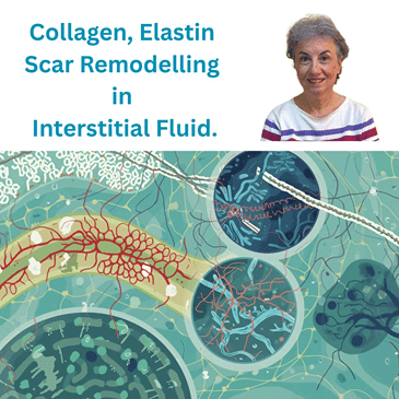 Collagen, Fascia, Hydration & the Interstitium