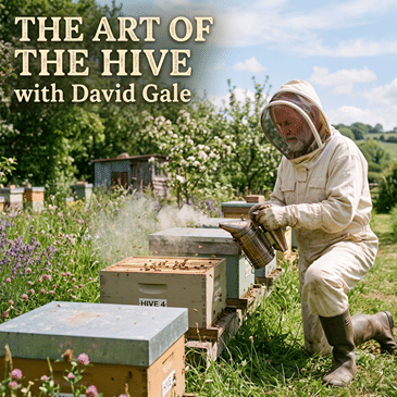 The Art of the Hive with David Gale