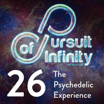 26. The Psychedelic Experience