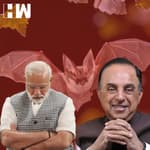 Subramanian Swami ने भारत को क्यों कह दिया, पंचतंत्र की कहानी का चमगादड़ I PM in Japan I QUAD I BRICS
