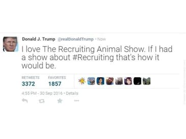 The Best of The Recruiting Animal Show - Version 1