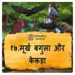 मूर्ख बगुला और केकड़ा