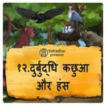 दुर्बुद्धि कछुआ और हंस