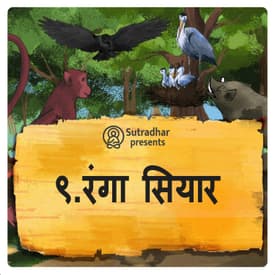 रंगा सियार