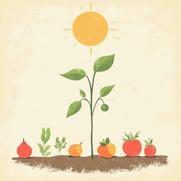 2768: A Gradual Approach to Healthy Eating by Leo Babauta of Zen Habits on How to Start A Healthier Lifestyle