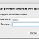 Other Users Can See Your Passwords If You’re Using Google Chrome