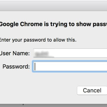 Other Users Can See Your Passwords If You’re Using Google Chrome