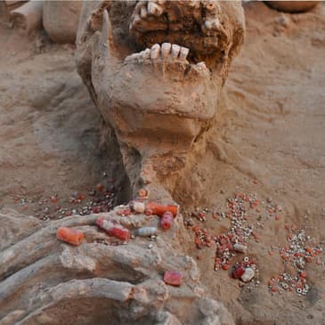 Ep 1: The Rakhigarhi Genome