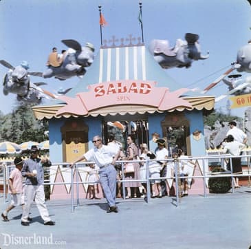 The Case of the Dumbos: Land v World