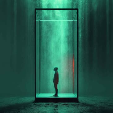 2375: Benefits of Cold Showers by Eric Leija on Cold Showers and Increased Circulation