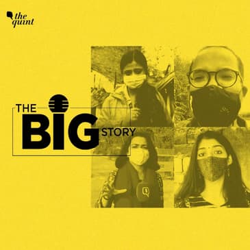 Meet The Quint’s Reporters Behind the Challenging Stories of 2020