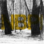 Interview With "Evil Does Not Exist" Composter Eiko Ishibashi