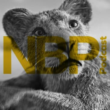 Episode 391 - The 2024 Summer Movie Season, "Mufasa: The Lion King" & "Lee" Trailers