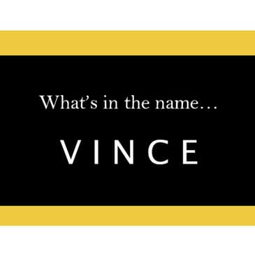 S4.24-101 - What's in a Name... "Vince"