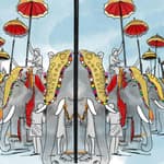 The Malayali Man And His Elephant: A Manufactured Love Story