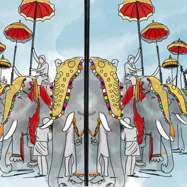 The Malayali Man And His Elephant: A Manufactured Love Story