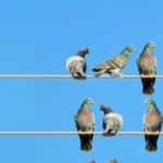 Energage's Dan Kessler on Data and Employer Brands