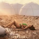 Fyre: The Greatest Party That Never Happened (2019)