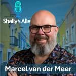 Why 80% of AI Success is Actually Basic Automation Marcel van der Meer Reveals the Truth Live on Shally's Alley
