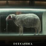 Alien: Earth S1E7 "Emergence"