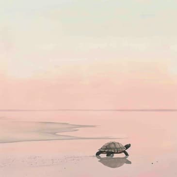 2583: 3 Healthy Living Insights Learned from Turtles by Jill Coleman of Jill Fit on Optimizing Health & Fitness