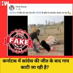 Fact Check: क्या Karnataka में Congress की जीत के बाद गायों को सरेआम काटा जा रहा है?