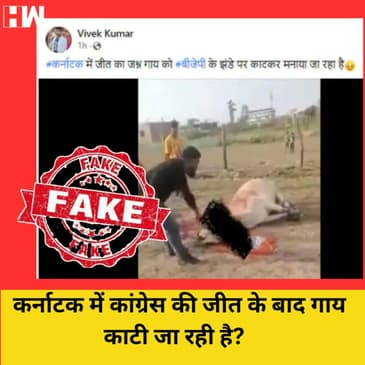 Fact Check: क्या Karnataka में Congress की जीत के बाद गायों को सरेआम काटा जा रहा है?