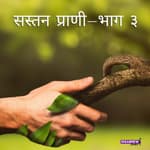 सस्तन प्राणी- भाग ३