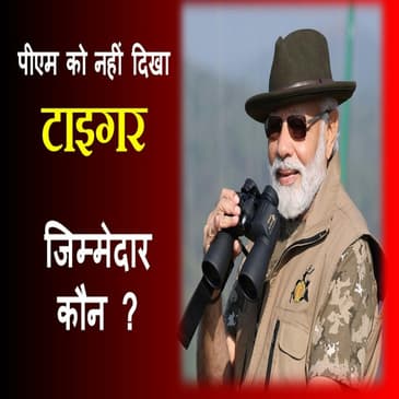 टाइगर रिजर्व में पीएम मोदी को नहीं दिखा था एक भी बाघ