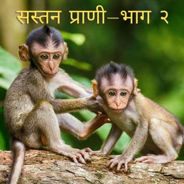 सस्तन प्राणी- भाग २